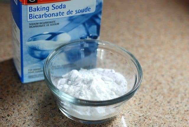 Does Baking Soda Kill Fleas