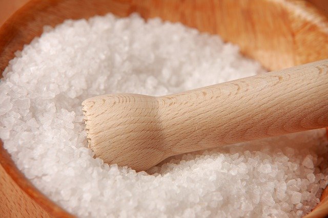 Does Salt Kill Fleas? Remove Fleas with Salt!