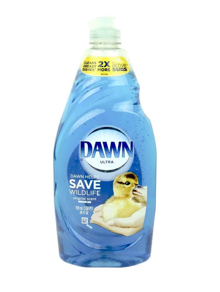 dawn dish soap to wash dog