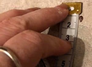 Bed Bugs on Tape Measure