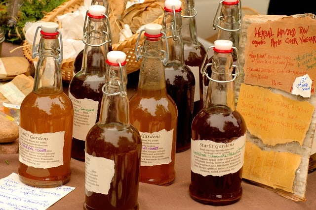 Does Apple Cider Vinegar Kill Fleas