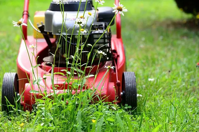 Best Heavy Duty Flail Mower for ATV