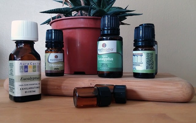 How To Use Eucalyptus Oil For Bed Bugs