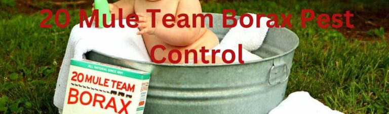 20 Mule Team Borax Pest Control – Updated