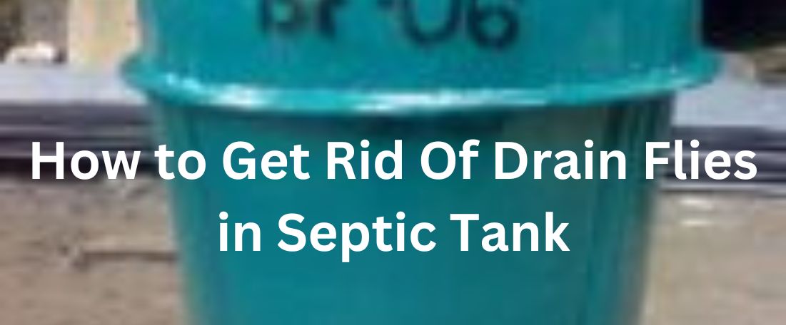 How to Get Rid Of Drain Flies in Septic Tank