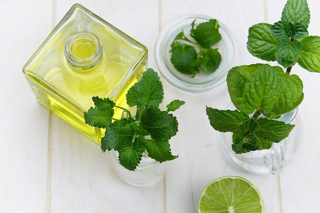 Does Peppermint Oil Kill Bed Bugs