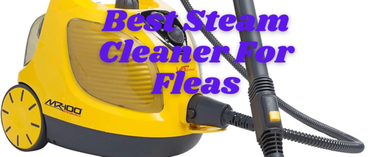 7 Best Steam Cleaner for Fleas 2024 Reviewed