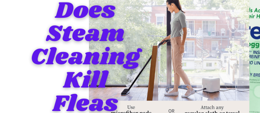 Does Steam Cleaning Kill Fleas