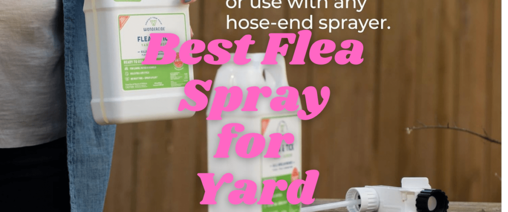Best Flea Spray for Yard