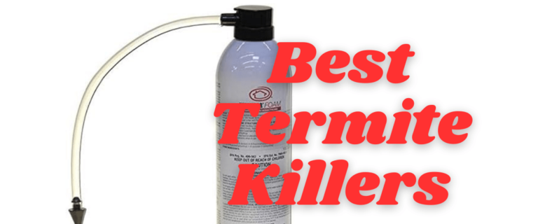 5 Best Termite Killers for 2024 – Protect Home